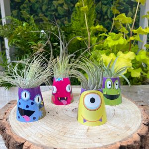 Little Monsters Mini Plant Wrap