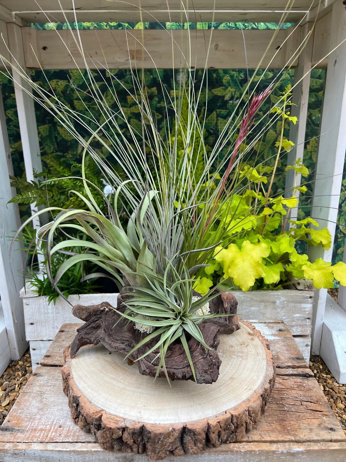 Decor Wood Arrangement