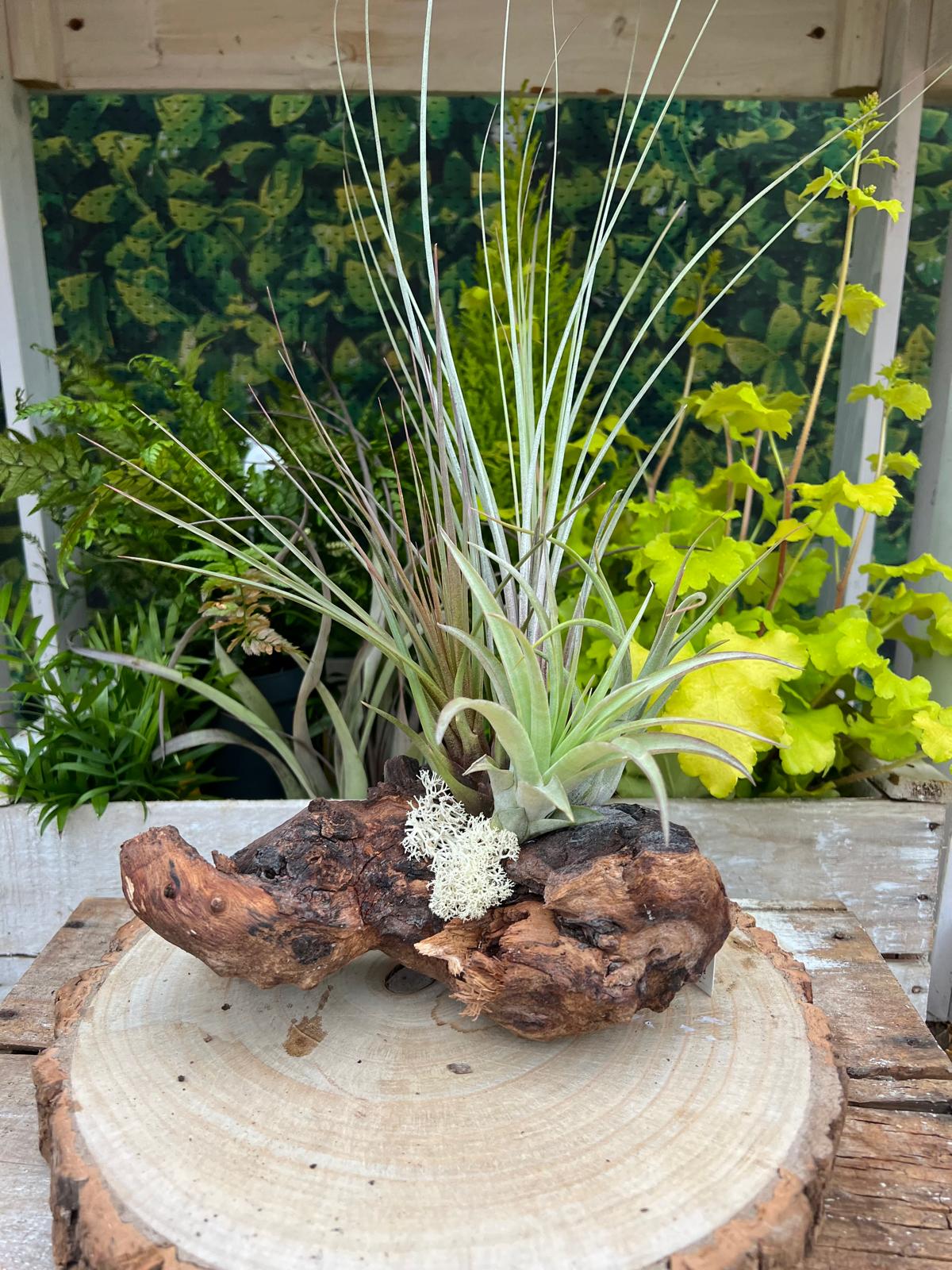 Decor Wood Arrangement - Image 3
