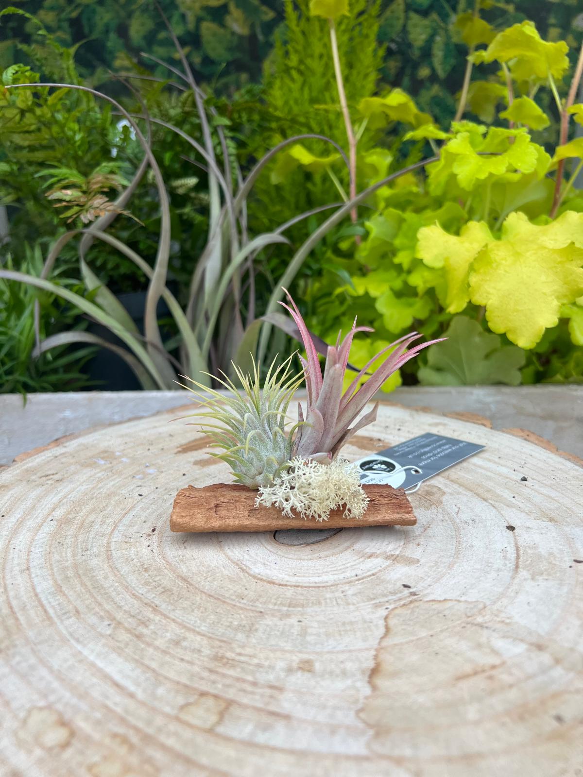 Decor Wood Arrangement - Image 6
