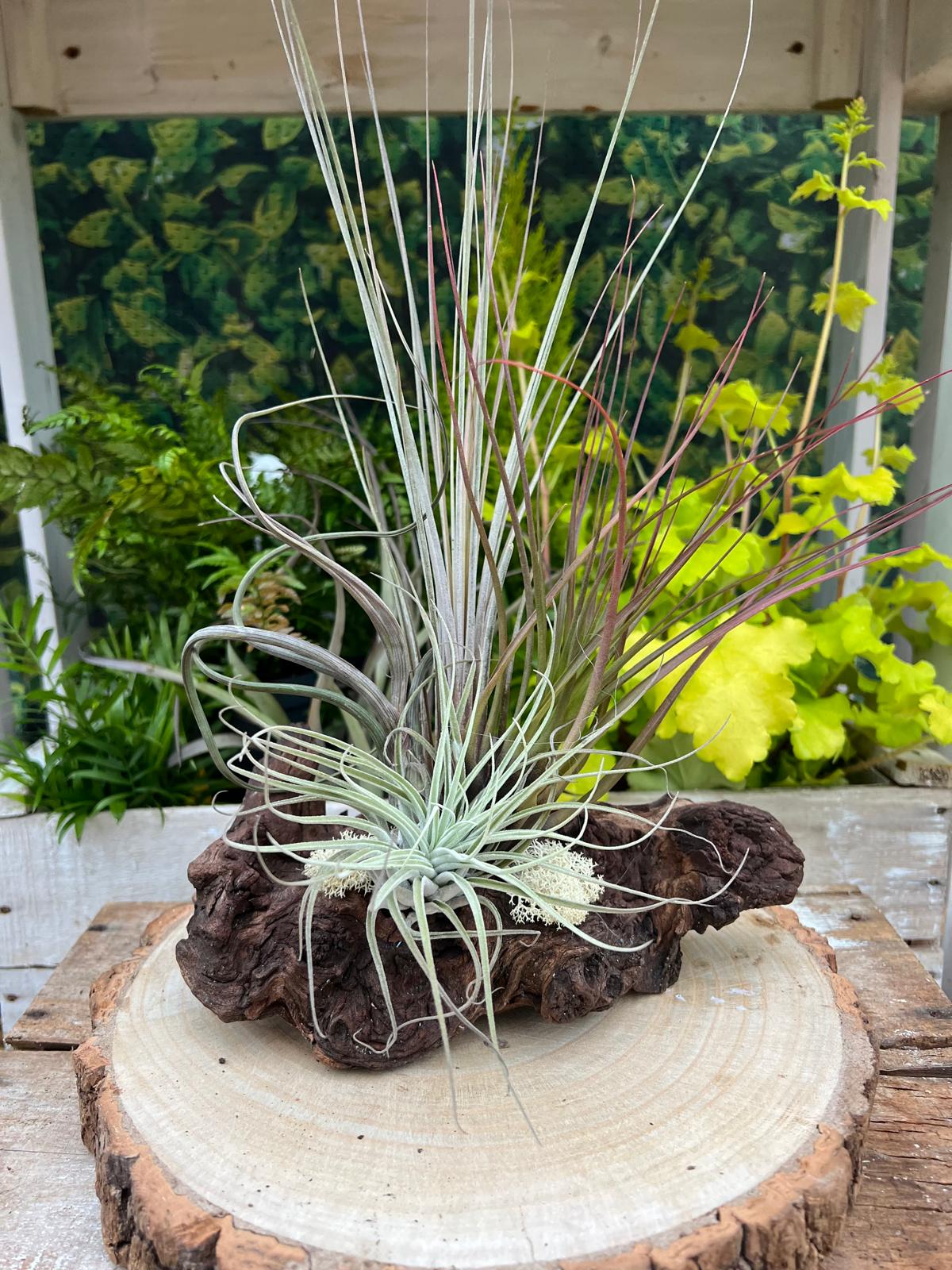 Decor Wood Arrangement - Image 2