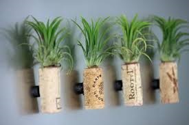 Cork Magnets
