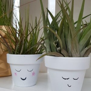 Face Pot