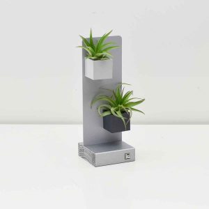 Air Plants Silver Magnetic Desk Stand - Grey